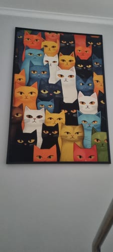 Customer photo review of Occhi di gatti