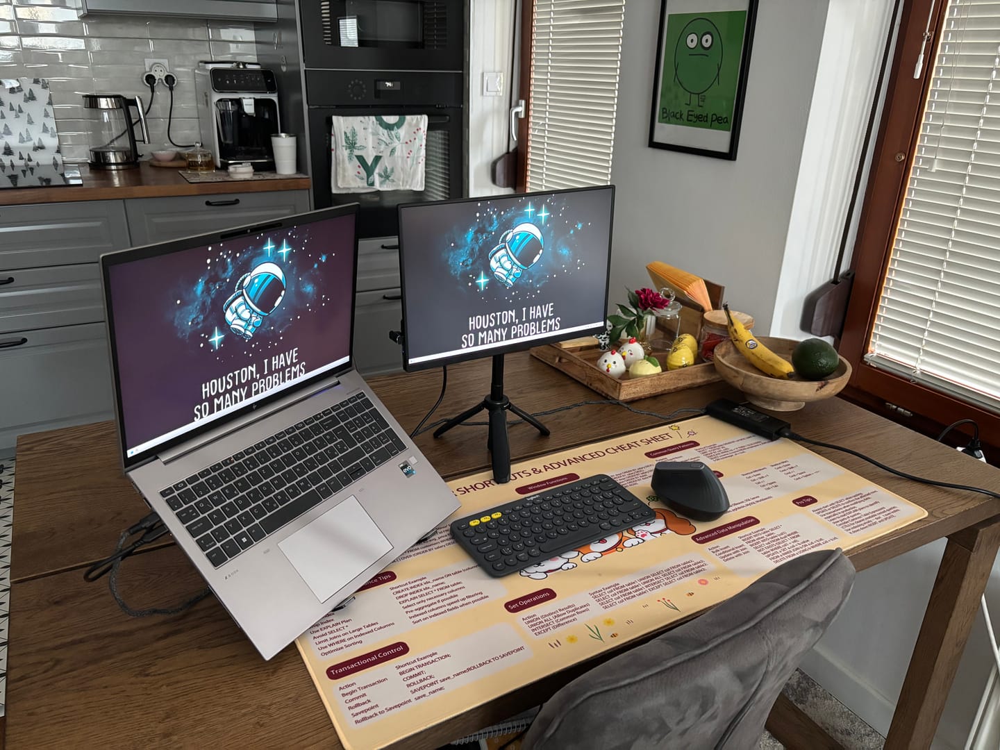 Customer photo review of 16” Portable Monitor + Stand