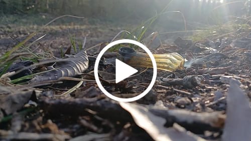 Customer video review of Sugar Shake - 1oz