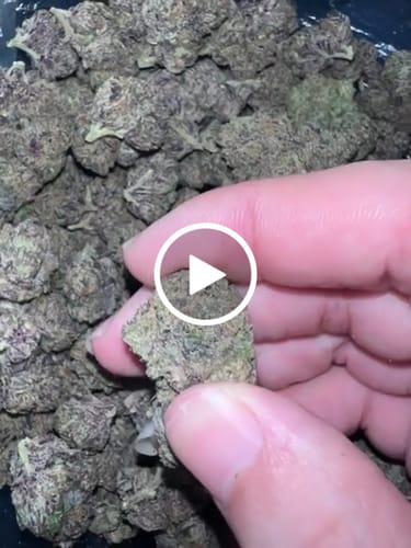 Customer video review of Velvet Runtz THCA Flower