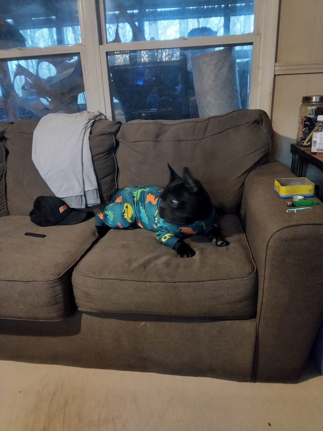 Customer photo review of Dog Pajama - Dinosaurs