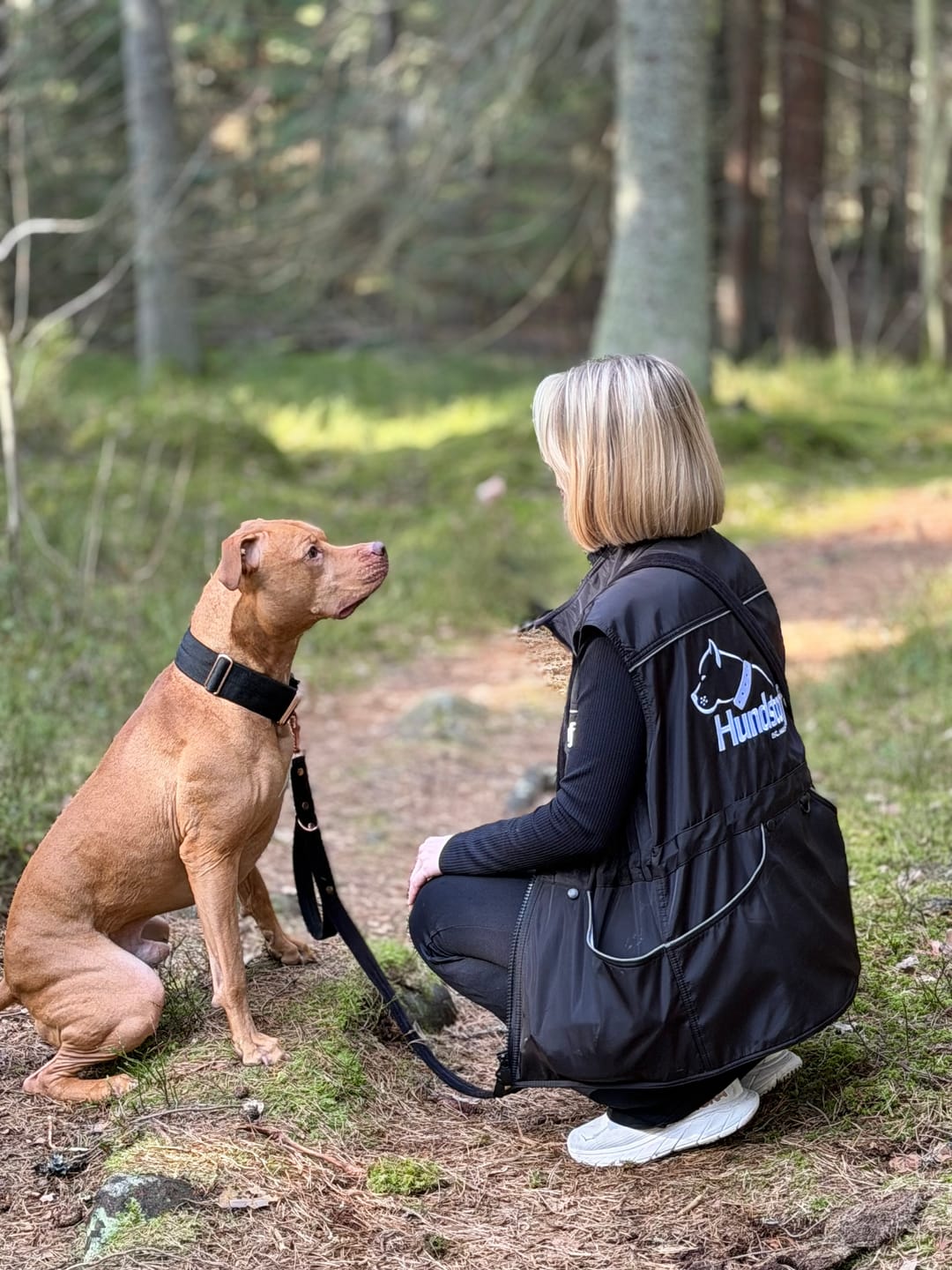 Customer photo review of Hundstaff Pack Handler Vest