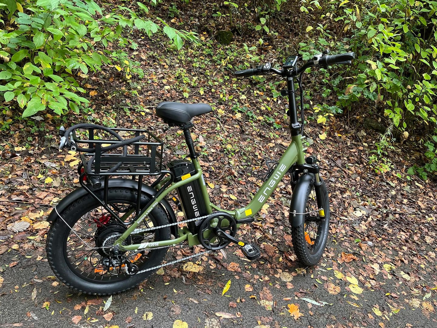 Customer photo review of Engwe L20 SE 250W 20" Foldable Electric Trekking Bike 561Wh Step-through E-bike