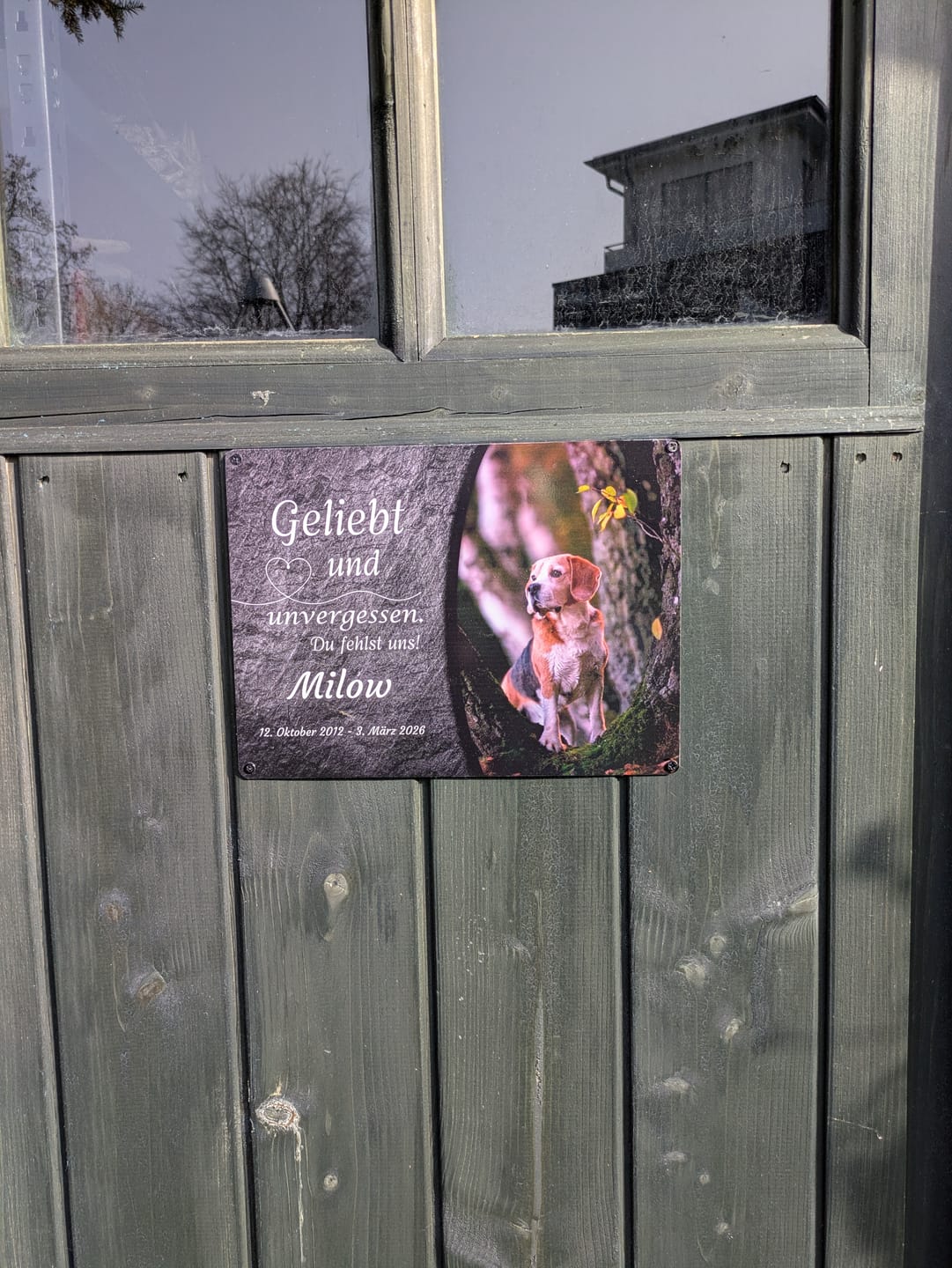 Customer photo review of Hunde Gedenktafel mit Foto & Spruch (UV- & Wetterfest)