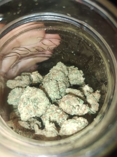 Customer photo review of Blueberry Muffin THCA Flower