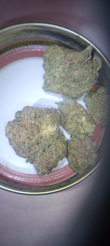 Customer photo review of Bulk THCA Flower Pounds