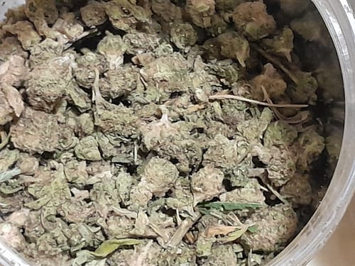 Customer photo review of Hash Plant THCA Kief Trim