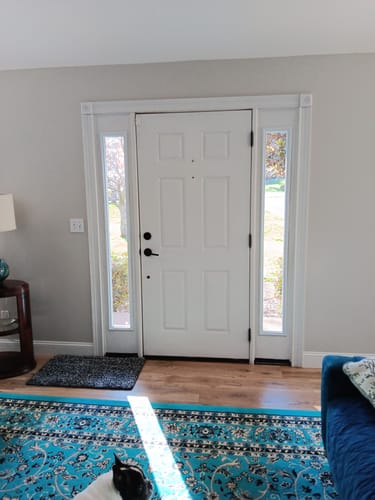 Customer's white front door flanked by two newly installed Clear 1 Lite Glass and Frame Sidelite Kits.