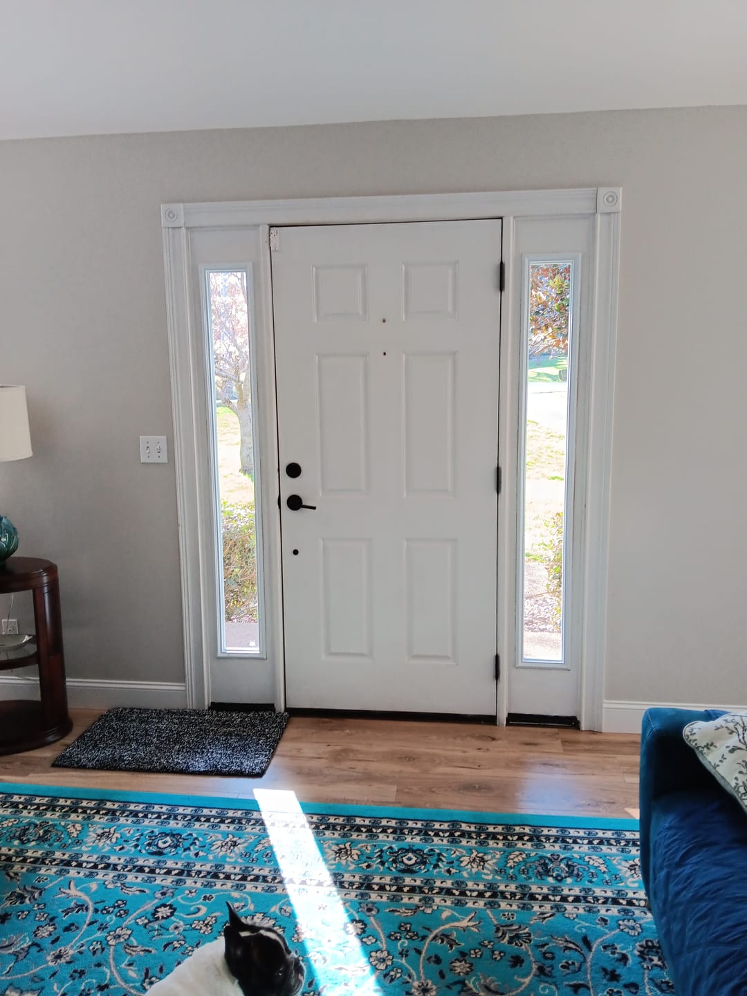 Customer photo review of Clear 1 Lite Glass and Frame Kit (Full Sidelite)