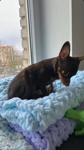 Customer photo review of Alize Puffy