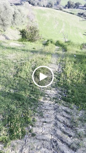 Customer video review of Exway Atlas Series