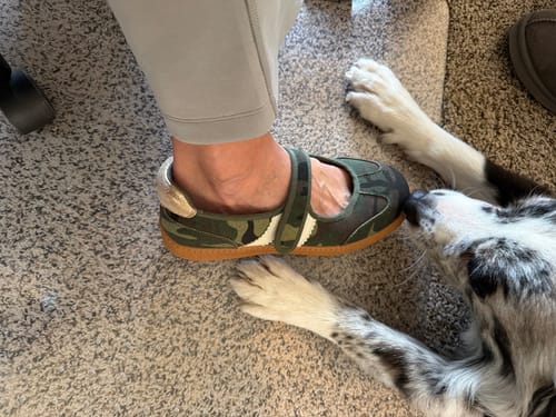 Customer wearing the Corky's Camo Calm Down Sneakers on a carpet, with a dog sniffing the toe of the shoe.