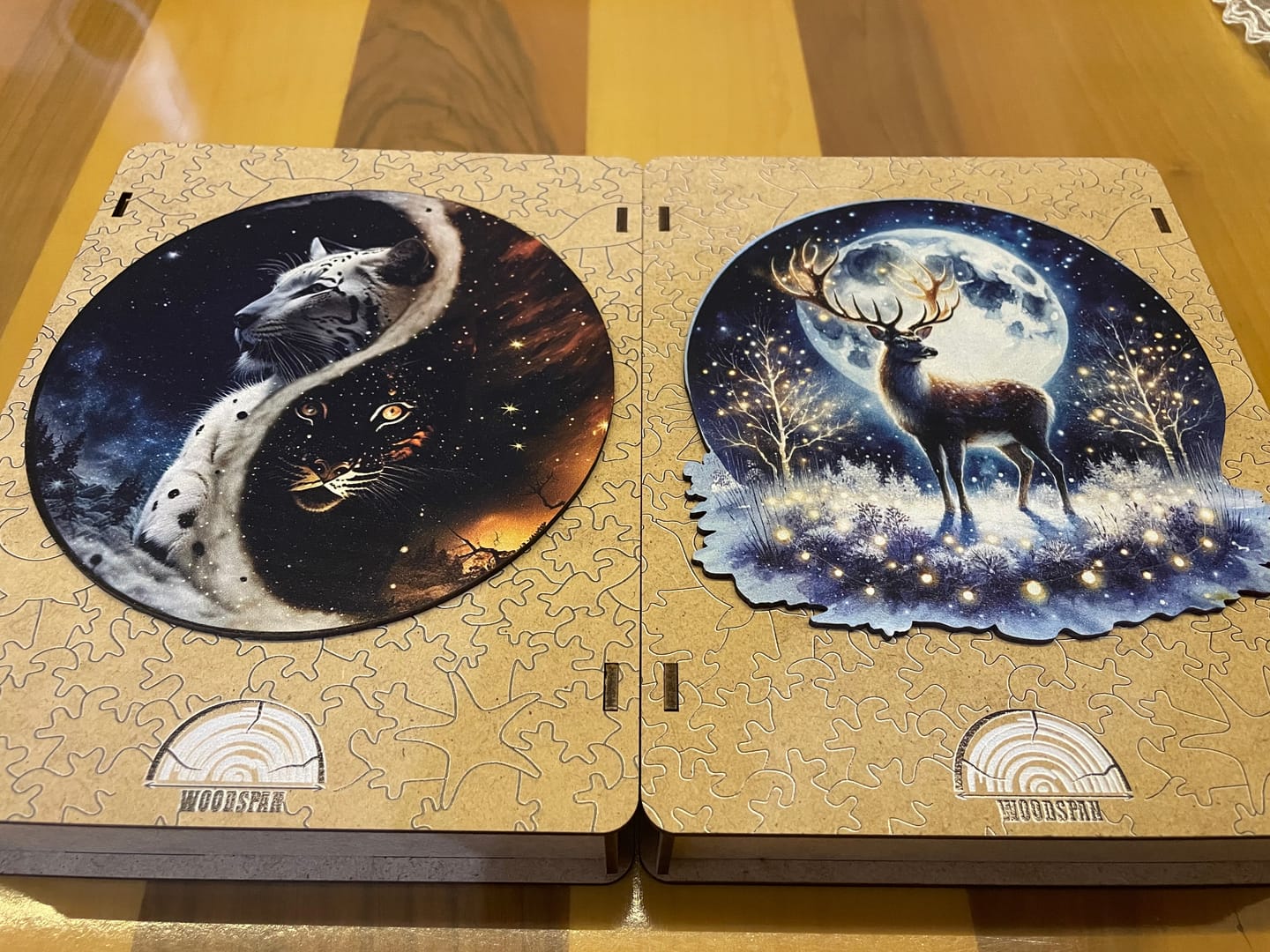 Customer photo review of The Aurora - Gecenin Işıltısı