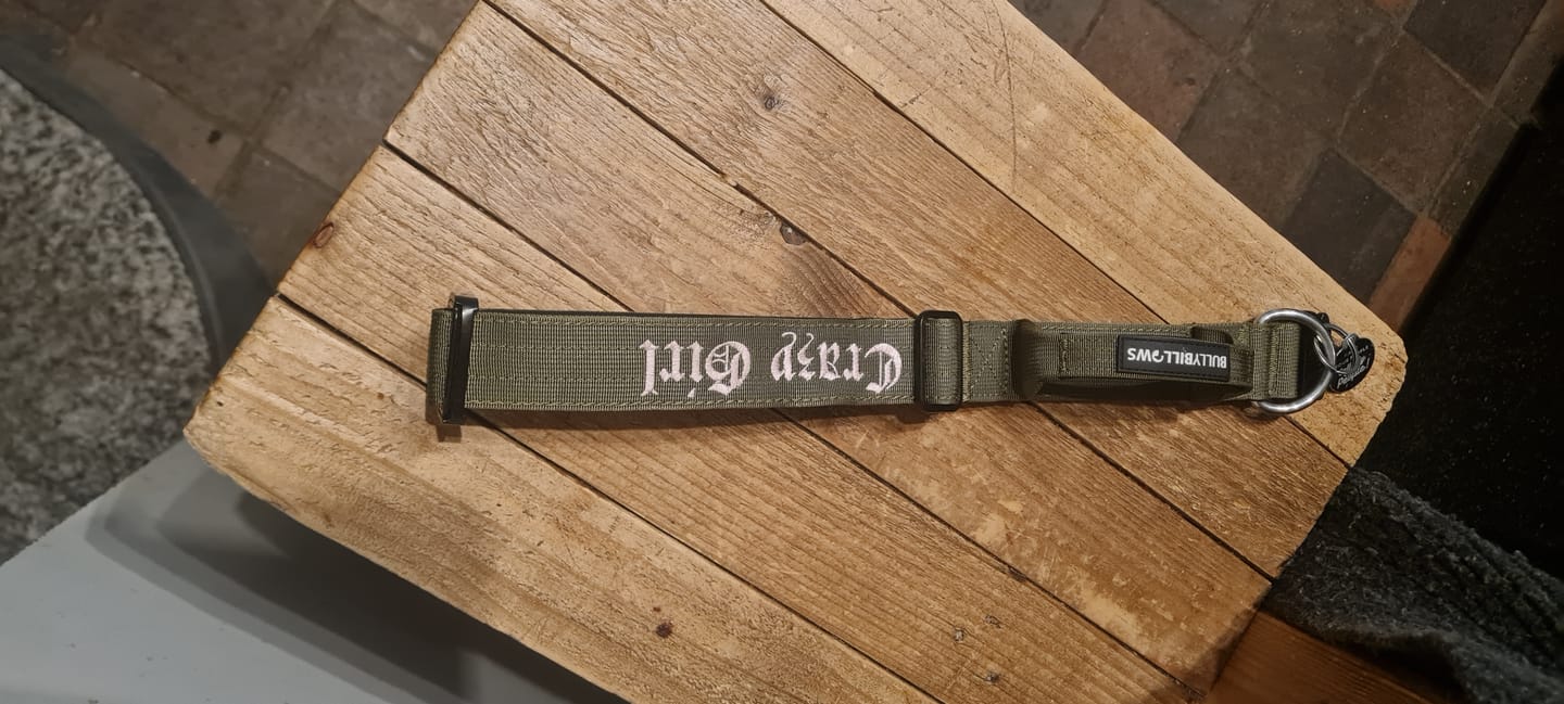 Customer photo review of 4cm Combat® Collar | Handle & Rated Clip -  Khaki