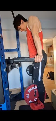 Reviewer using a red 25kg Strength Shop Calibrated Plate for a weighted dip exercise.