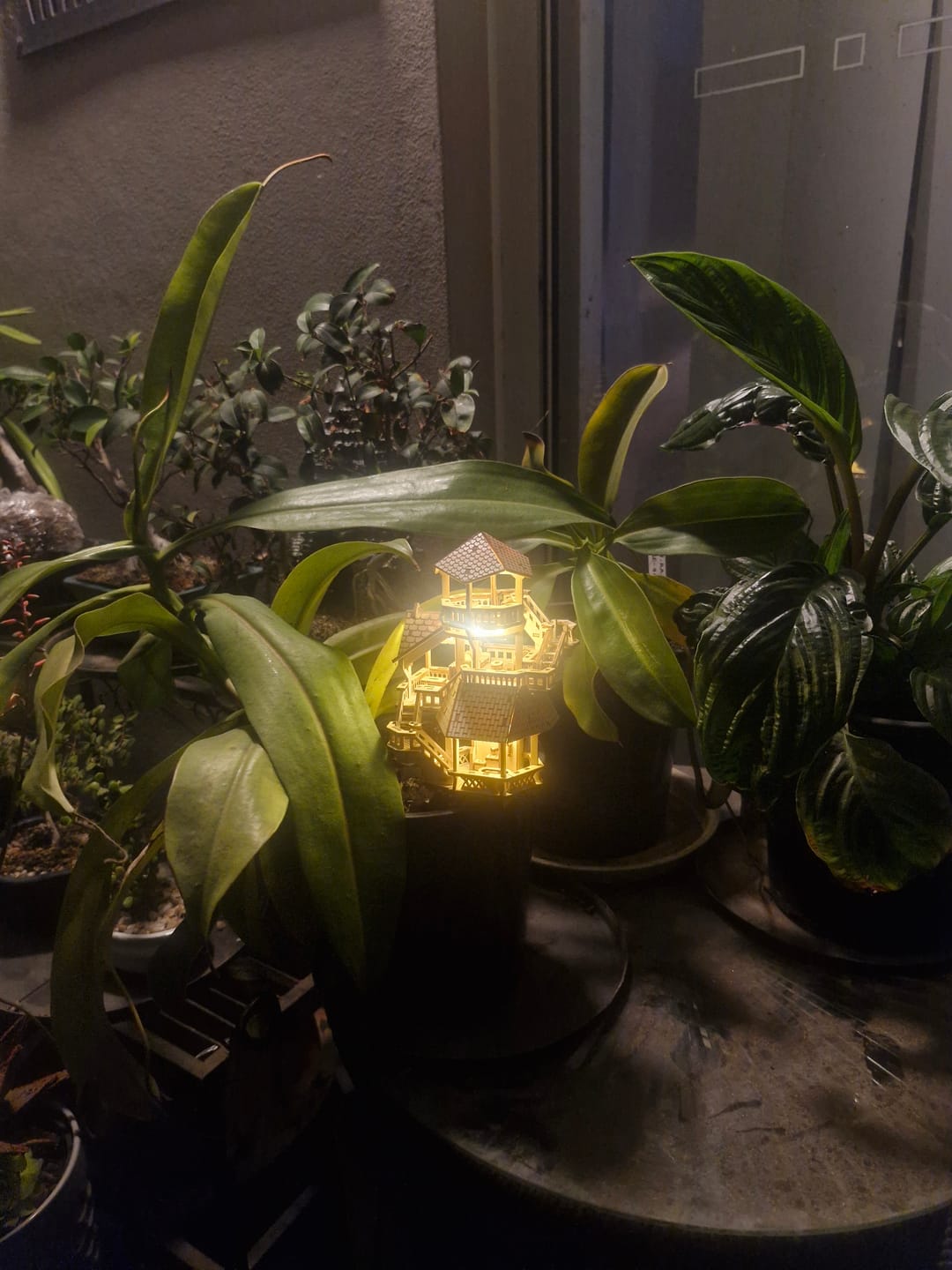 Customer photo review of Solar Lights