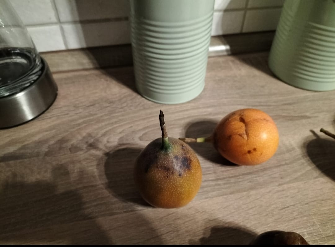 Customer photo review of Süße Granadilla naturbelassen