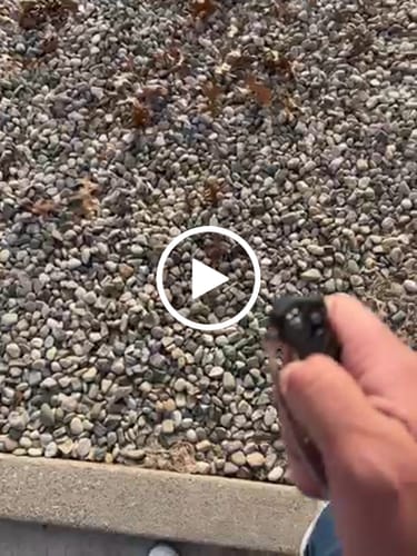 Customer video review of Heretic Knives Koschei Prototype Knife – Carbon Fiber Chassis, Hand Ground High Polish M390 Blade – Serialized – Made in USA (S/N 024)