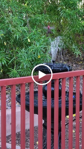 Customer video review of Two Button Fountain Pump and Battery Compartment - no connection port