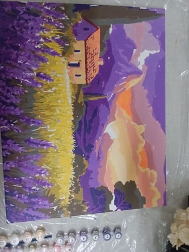 תמונת לקוחה של ציור גמור מערכת הצביעה לפי מספרים, המציג נוף ססגוני של שדות לבנדר ובית.