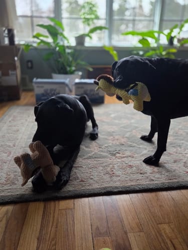 Customer photo review of Clean Earth Plush - Textured - 100% Sustainable