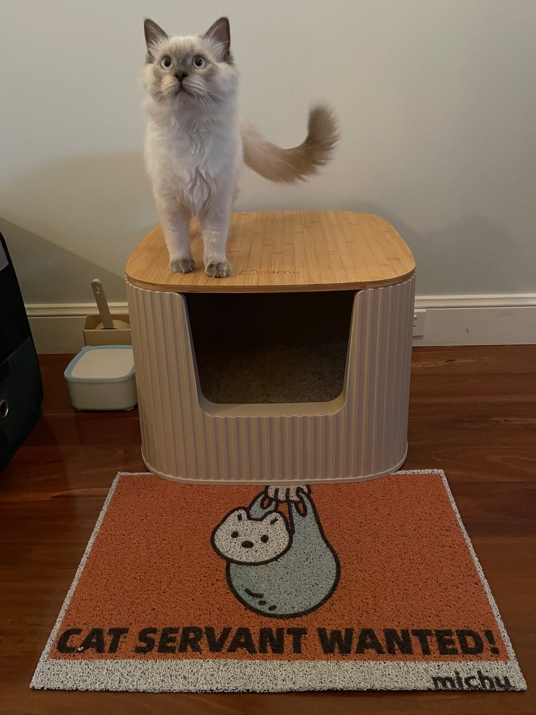 Customer photo review of Michu XXL BoBa Deluxe Cat Litter Box - Spacious Design