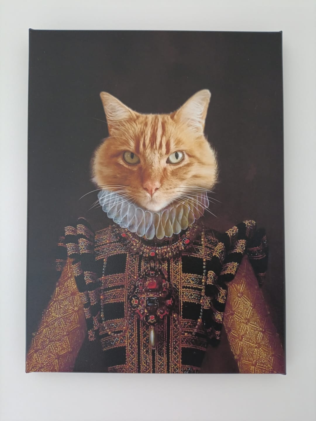 Customer photo review of Portrait Chat l'Héritier