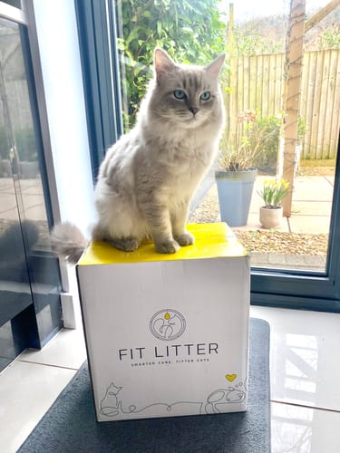 Customer photo review of 3 Month Supply - 1 Cat