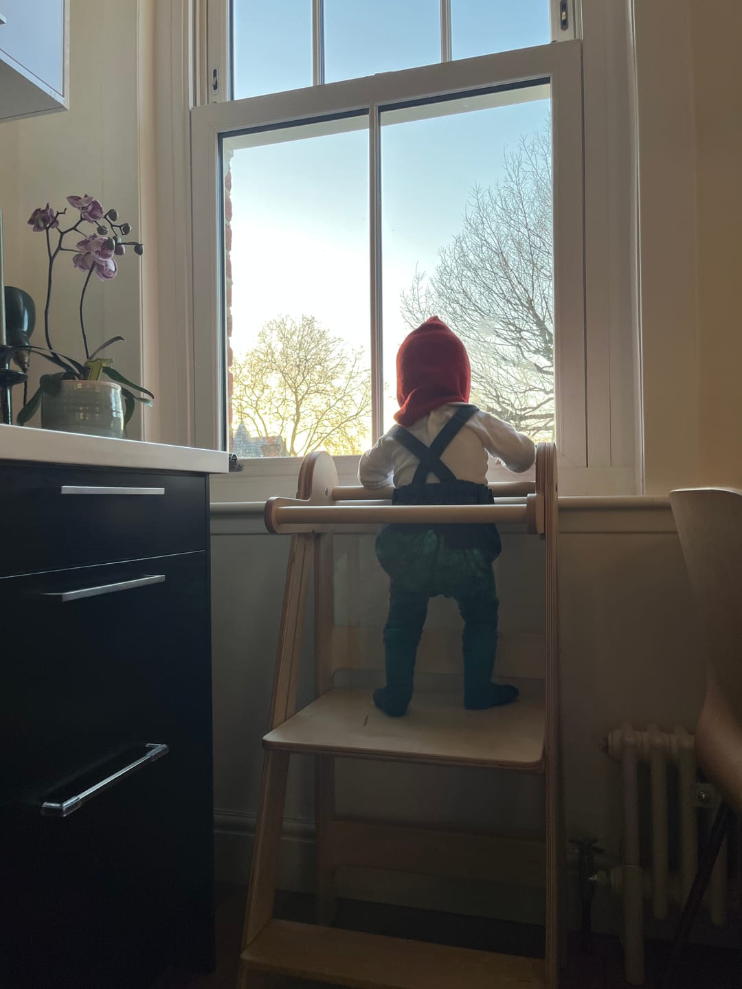 Customer photo review of Foldable Learning Tower