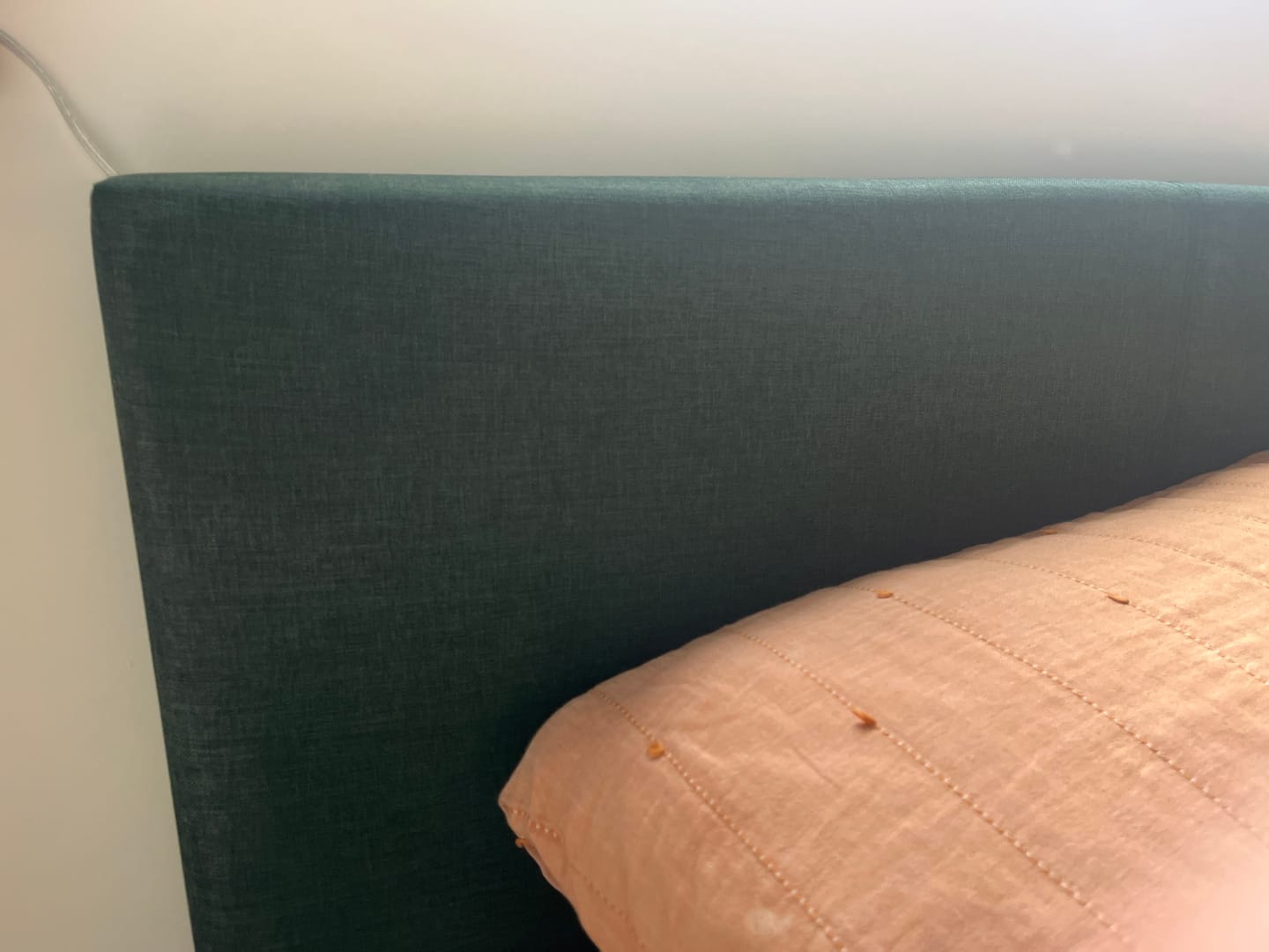 Customer photo review of Fabric Paint -- Dark Green