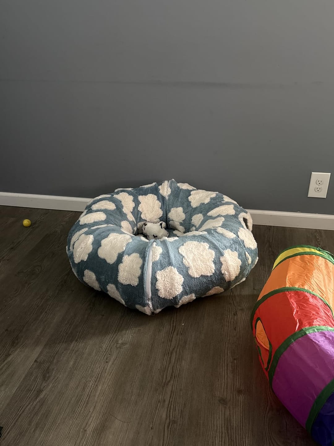 Customer photo review of Dachshund Tunnel Bed