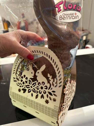 Customer photo review of 2 Easter bunny egg basket laser cut svg file