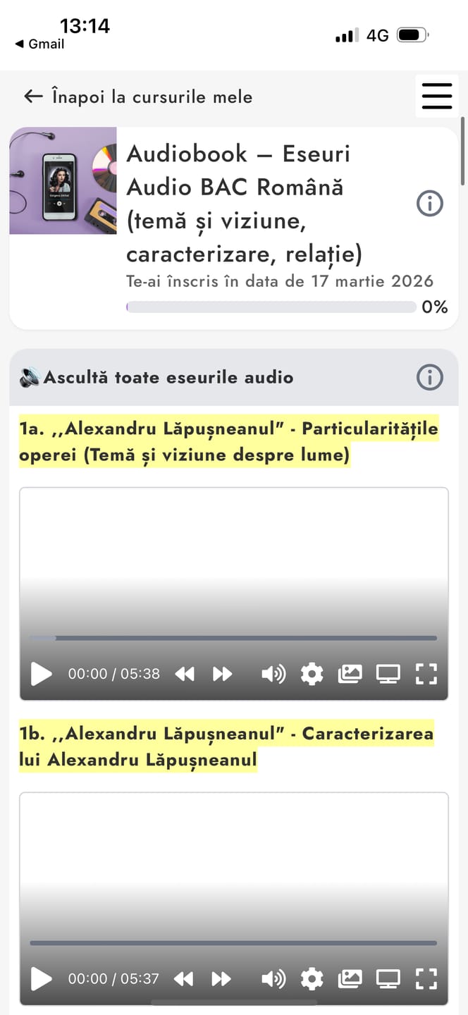 Customer photo review of Audiobook – Eseuri Audio BAC Română (temă și viziune, caracterizare, relație) + Quiz-uri