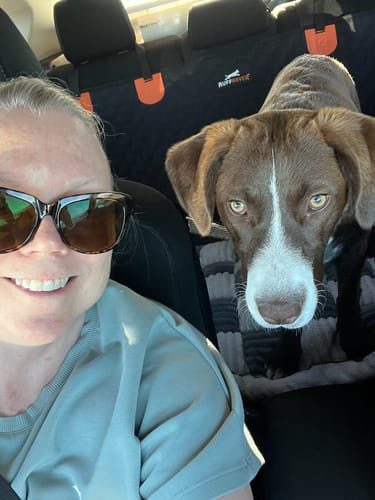 Customer photo review of RuffRover 2.0™ - Hard Bottom Back Seat Extender + (FREE Dog Bed)