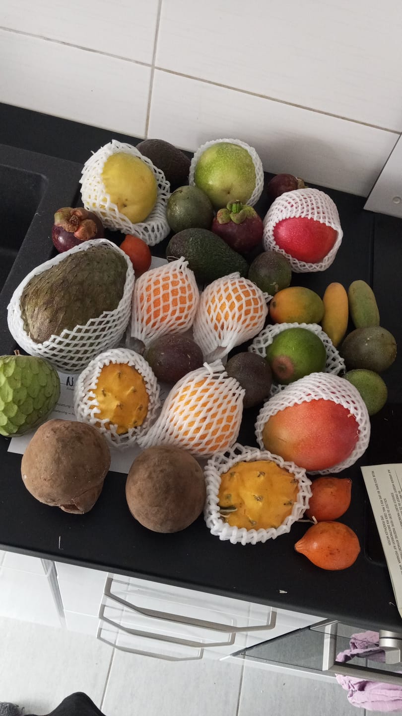 Customer photo review of Tropenreise Südamerika Box