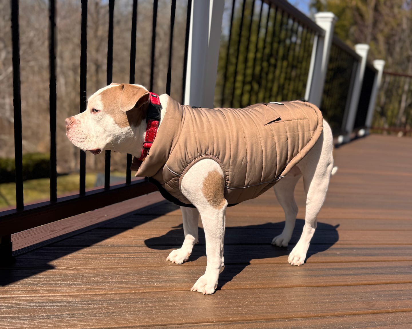 Customer photo review of WarmShield Water-Resistant Jacket - Tan