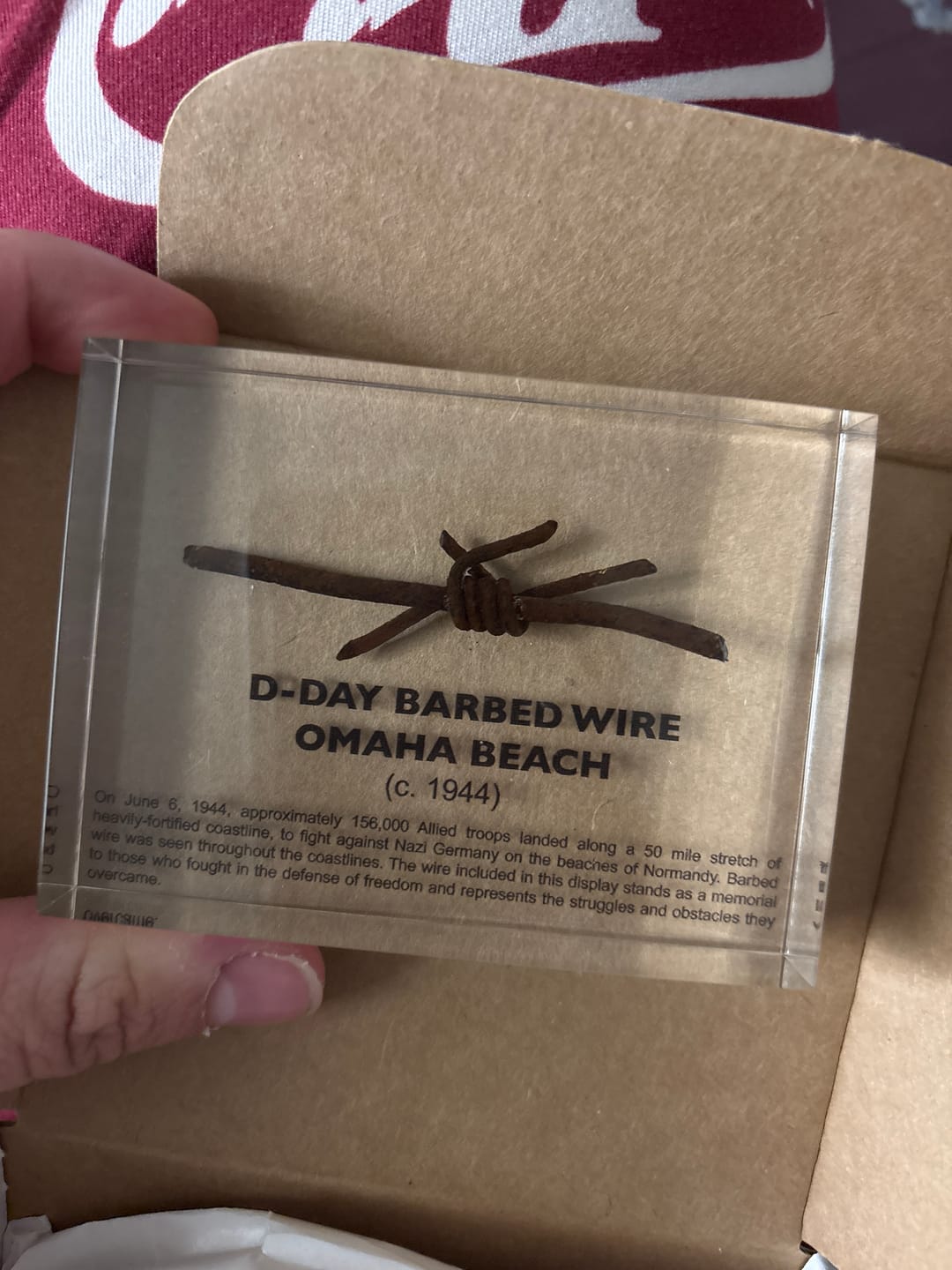 Customer photo review of D-Day Barbed Wire Artifact Display