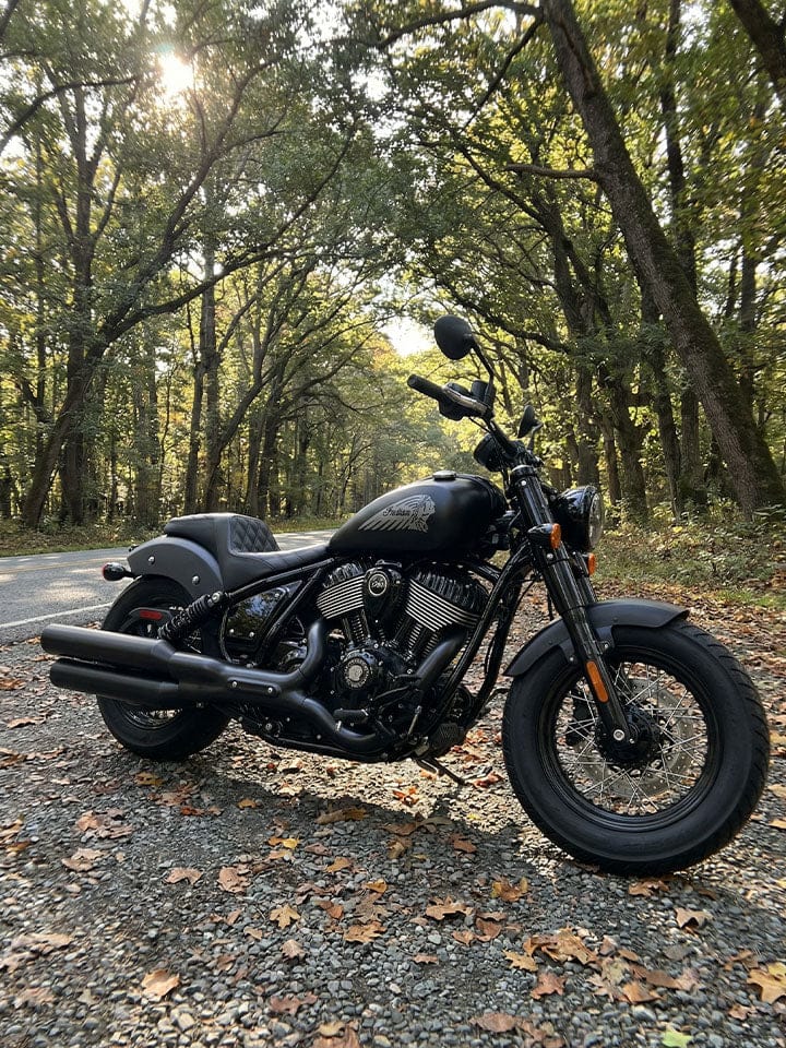 Customer photo review of Iron Born Diamond Stitch Indian Chief Bobber Dark Horse 2-Up Seat Black