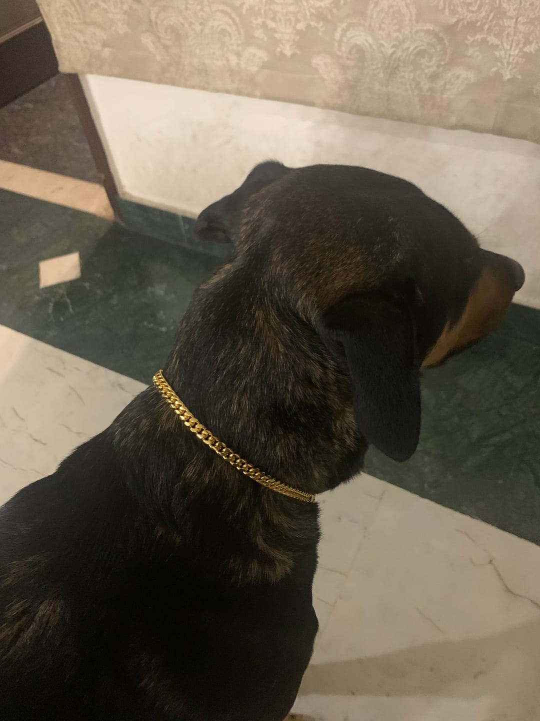 Customer photo review of Chunky Cuban Chain Necklace