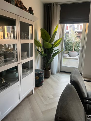 Customer photo review of Pre-order Strelitzia Kunstplant 180cm (20 maart)