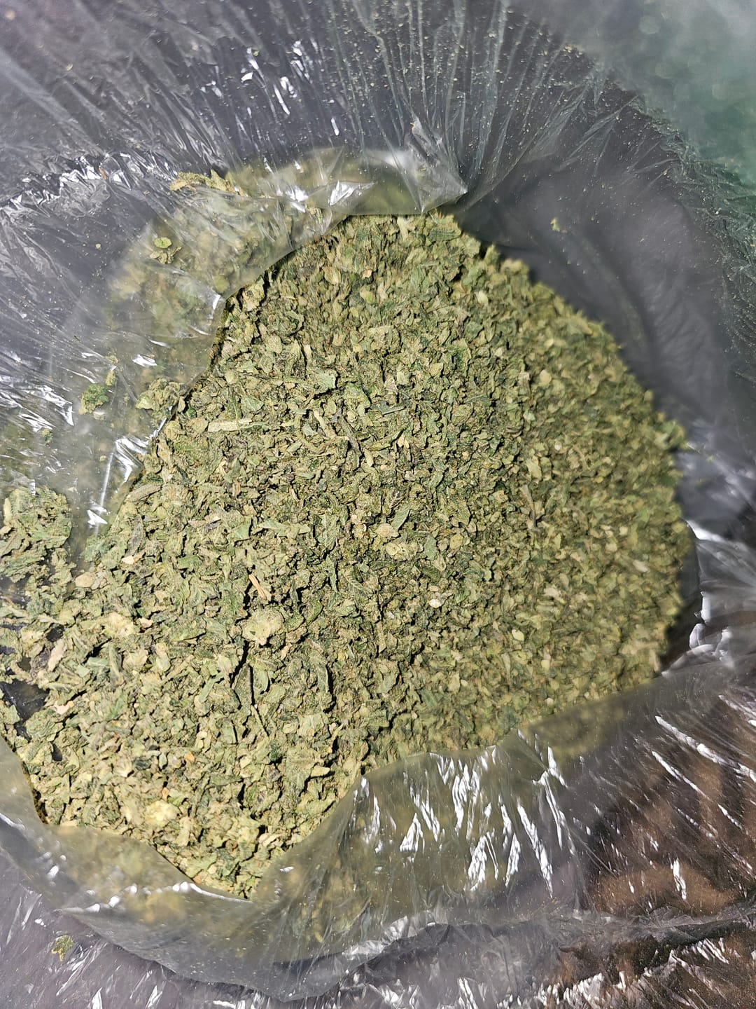 Customer photo review of No 1. LA Pop Rock THCa Shake (Wholesale)