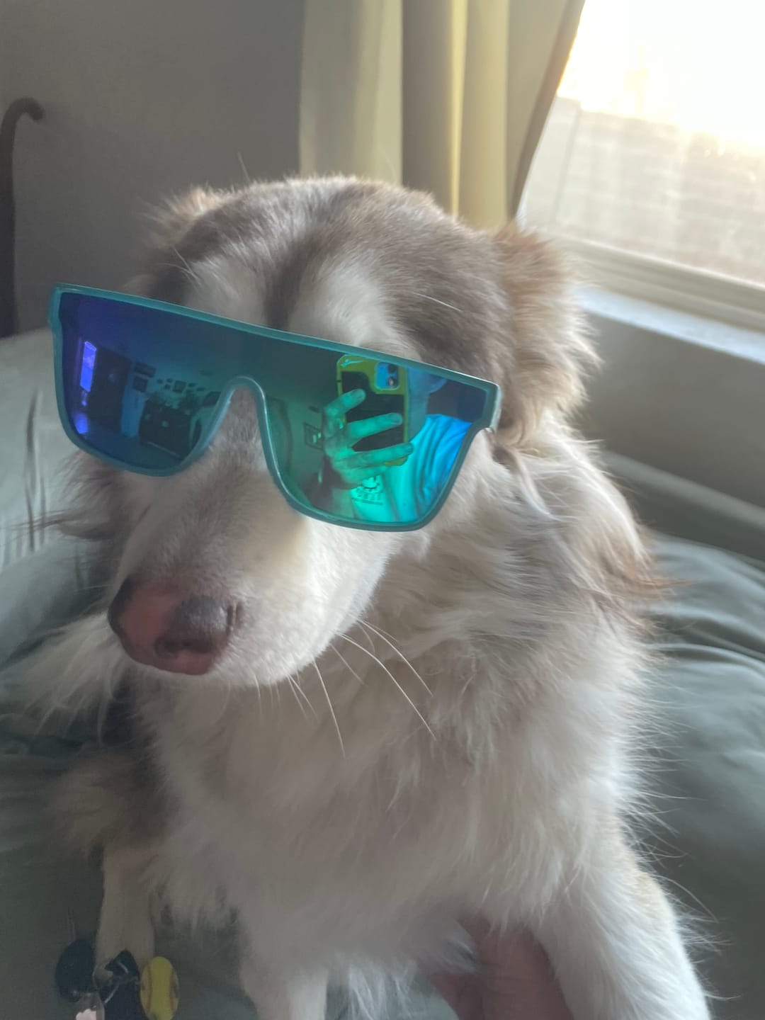Customer photo review of 80Eighty® Polarized Bay Sunglasses