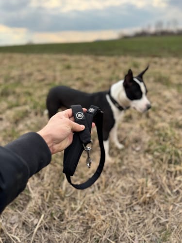 Customer photo review of Snap Hook Clasp Lead - Black