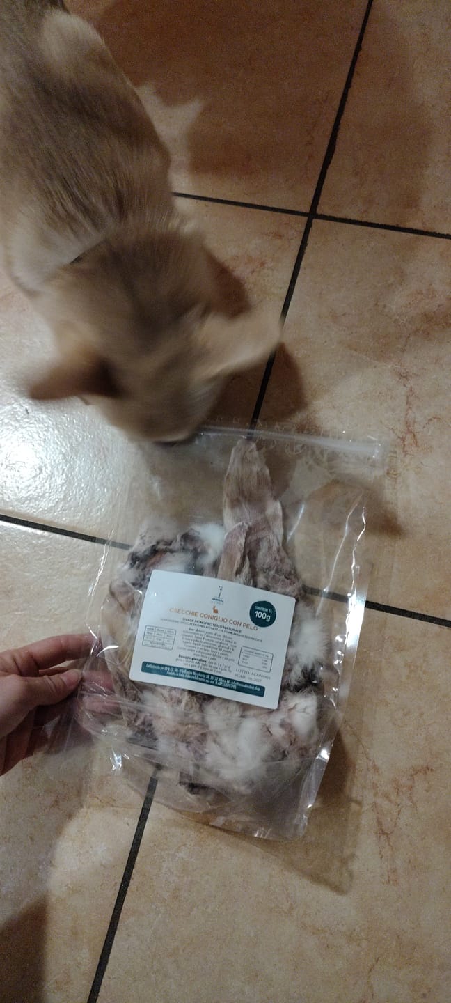 Customer photo review of Orecchio di Coniglio con Pelo (100 g)