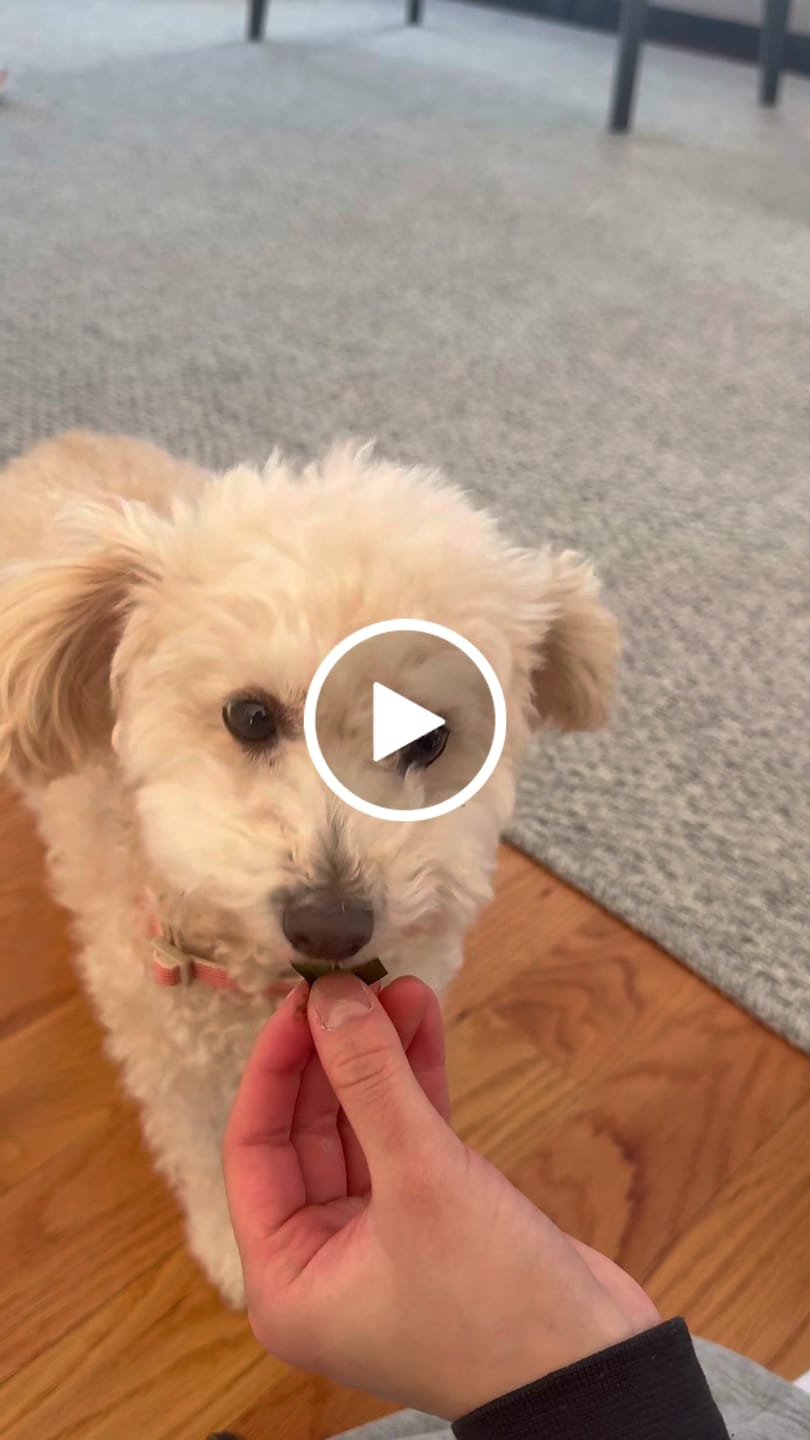 Customer video review of Dental Strips