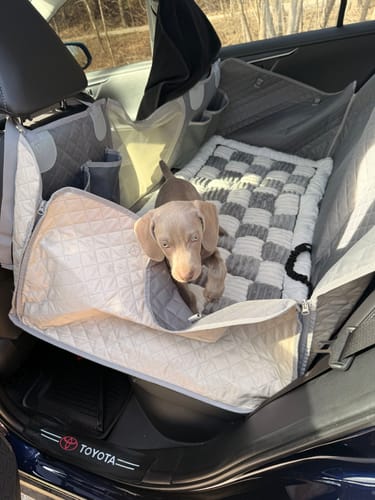 Customer's Weimaraner puppy sitting on the plush, checkered Plush Backseat Dog Bed inside a car's backseat.