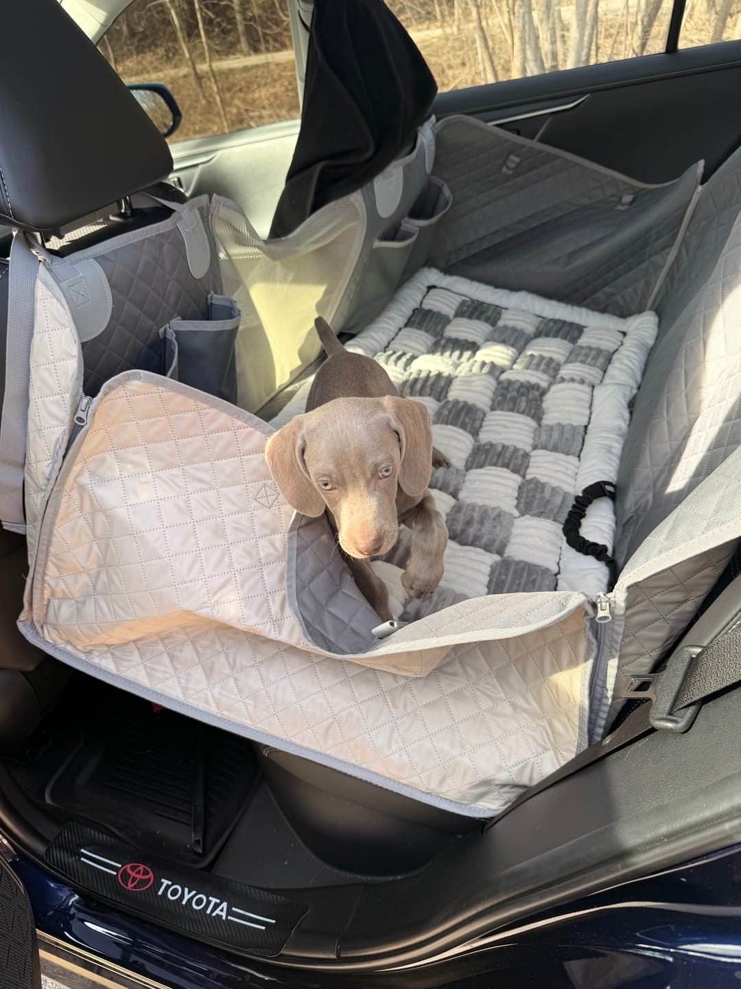 Customer photo review of Plush Backseat Dog Bed (Made For The Hard Bottom Car Seat Cover)