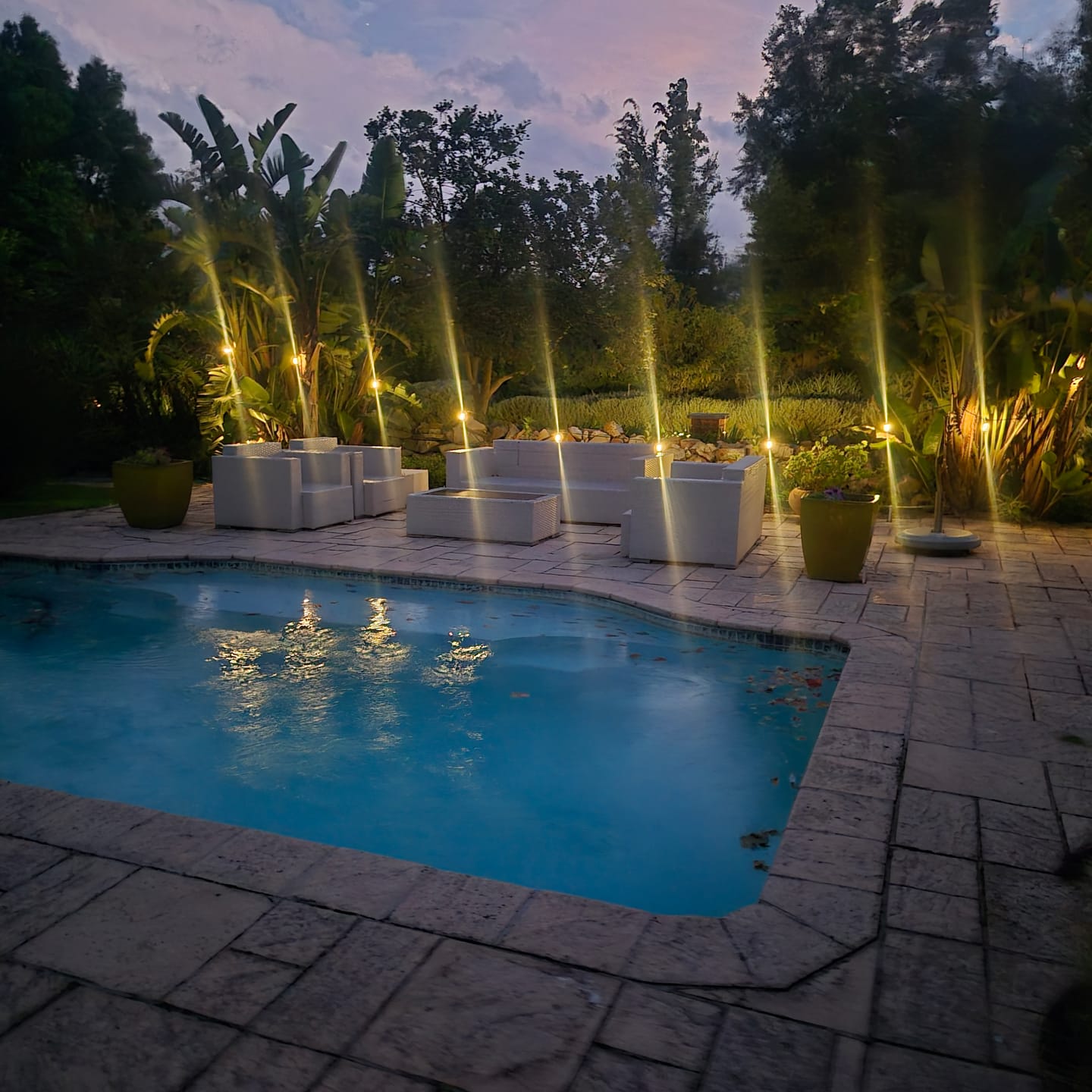 Customer photo review of Solar Mini Bulb String Lights