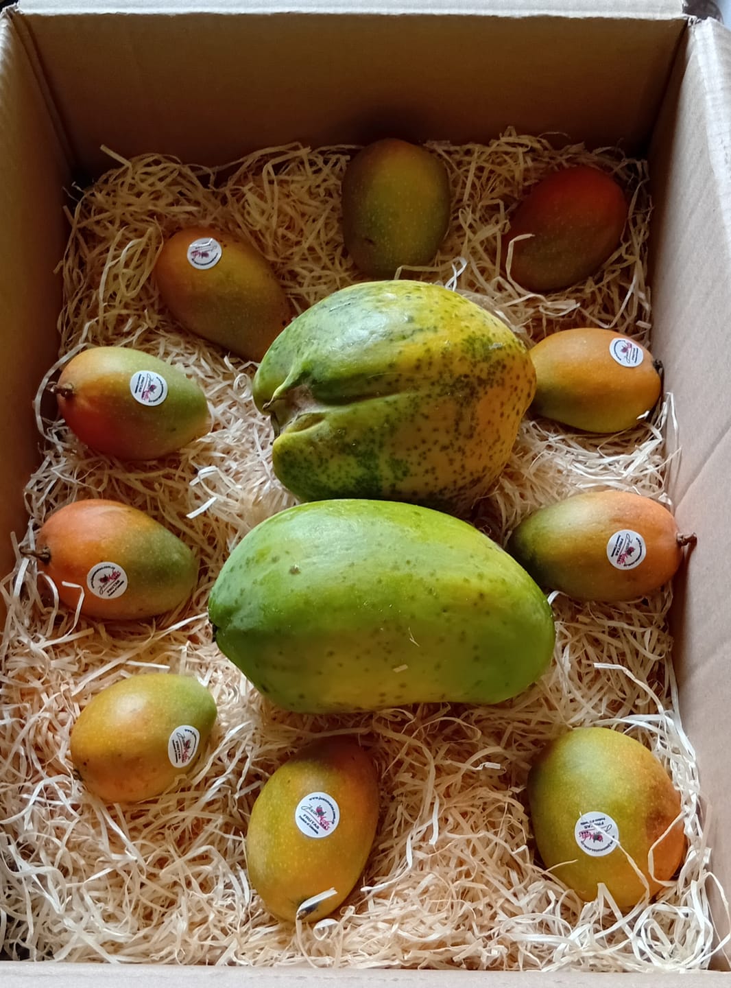 Customer photo review of Papaya Bio von Julian Wochenaktion %