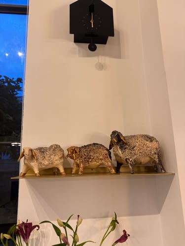 Customer photo review of מדפים למטבח